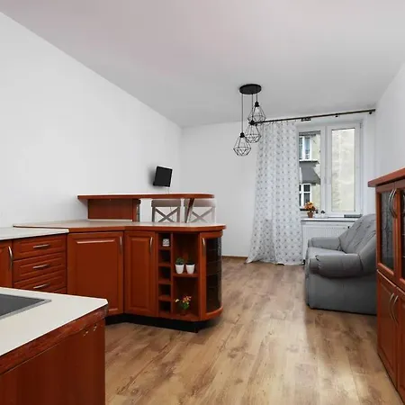 Przyjazny W Bedzinie Appartement