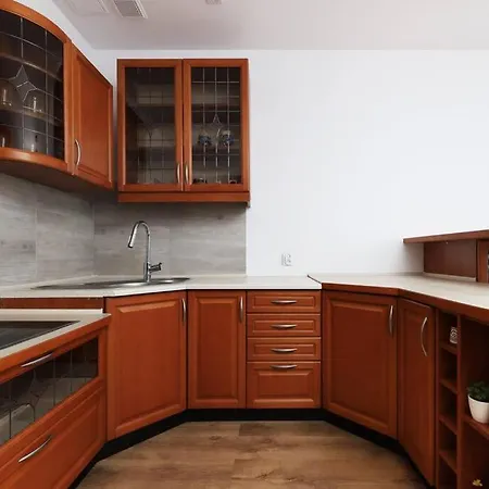 Apartament Przyjazny W Bedzinie *
