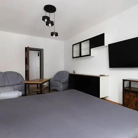 Przyjazny W Bedzinie Apartament Będzin