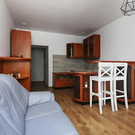 Przyjazny W Bedzinie