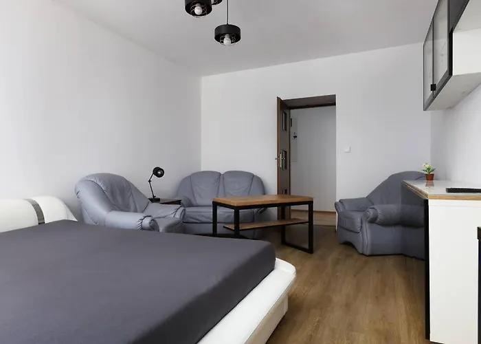 Przyjazny W Bedzinie דירה Będzin