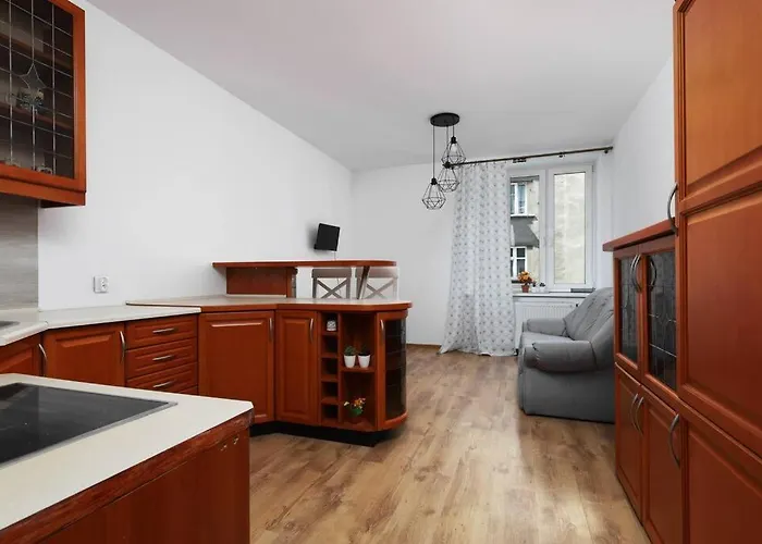 Przyjazny W Bedzinie דירה